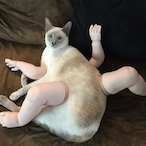 livebowenlive's Avatar'