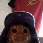 MasterToast1's Avatar'