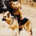 AbsurdCargo2554's Avatar'