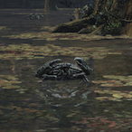 SaltiestFish's Avatar'