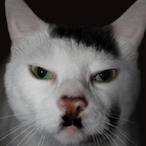 OnlyNeedGod's Avatar'