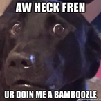 DoodleBamboozle's Avatar'