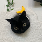 REEEOWWWWWWWWW's Avatar'