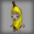 Katamaruu's Avatar'