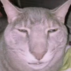 Impishname's Avatar'