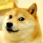 MeiMei_Y's Avatar'