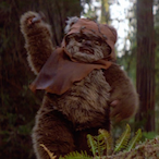 Wicket...'s Avatar'