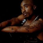 mellows era's Avatar'