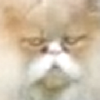 SeaGrahams's Avatar'