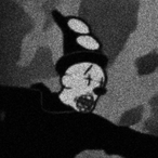 rauk3a's Avatar'