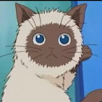 Calpin....'s Avatar'