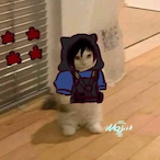 Don_Manzbud's Avatar'
