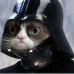 VoldeZortS's Avatar'