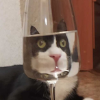 Bazzig's Avatar'