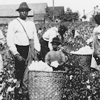 SpadeKiller1337's Avatar'