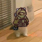 Fresh_cjs's Avatar'