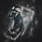 fenesse-'s Avatar'