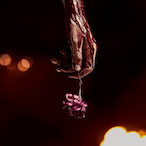 Kowa_reta's Avatar'
