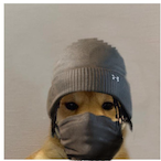 ZimoMagno58's Avatar'