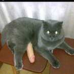 jayshietsy's Avatar'