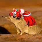 AbigailSnao's Avatar'