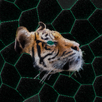 Tigon_'s Avatar'