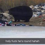 LargeMcFunny's Avatar'