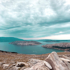 Rockin_Billy's Avatar'