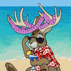 RabbitMaster249's Avatar'