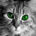 LexerUplay's Avatar'