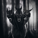 x-Cerberus-x's Avatar