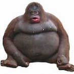 Trashpanda136's Avatar'