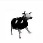 PolishCow...'s Avatar'