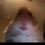 rryukku's Avatar'