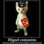 Yeidisito's Avatar'