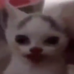 XxNinjagoLover4's Avatar'