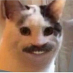 Lethal_KOLBASZ's Avatar'