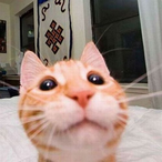 LordSturdy's Avatar'