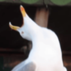 JER0.x's Avatar'