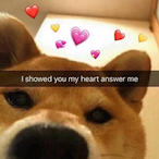 kingvonshootas's Avatar'