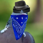 YaBoiAfonso's Avatar'