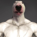 WPME-Gazik's Avatar'