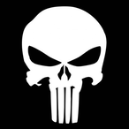 PunisherR6's Avatar'