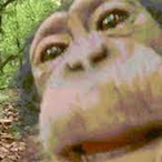 HereComesHam's Avatar'