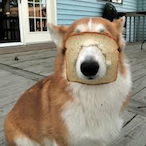 Musky-Cheese's Avatar'