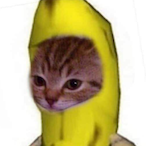 swngmyzen's Avatar'