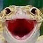 Geckoy27's Avatar'