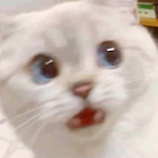 benjynetan's Avatar'