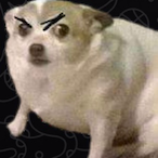 JarethGR7's Avatar'