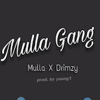 Mulla_'s Avatar'